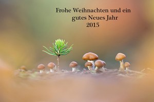 Weihnachtsgruß