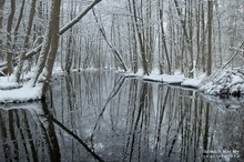 Hoffnung auf Winterwetter