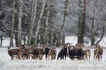 Familienfoto zum 2. Weihnachtsfeiertag