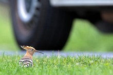 Natur und Technik