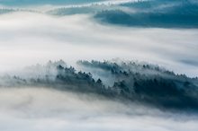 Blick vom Lilienstein