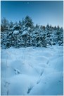 Winterlandschaft