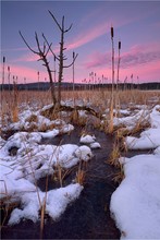 Sonnenuntergang am Ulmener Weiher