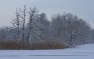 Winter am Köppchensee