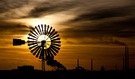 Sonnenuntergang im Landschaftspark