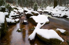 Winter im Harz II