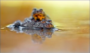 "Kurz vor dem Ziel..."(ND)