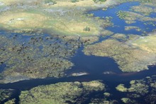 Okavango Delta