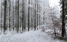 Winterlich!