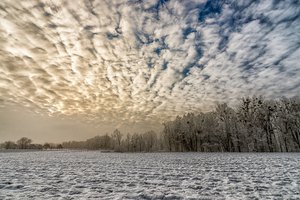 Winterlandschaft