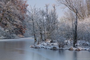 Winter im Eisvogelrevier