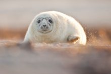 Im Sandkasten spielen