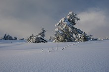 Schnee, Ruhe