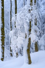 Winterzauber am Hohen Meissner