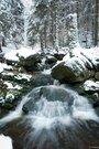 Ternellbach im Winter