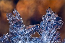 Eiskristalle überziehen die Hoegne