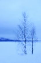Lapplands blaue Stunden .....