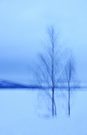 Lapplands blaue Stunden .....