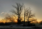 Sonne im Grau