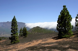 Cumbre Nueva