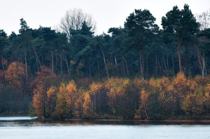 Herbststimmung am Haubachsee