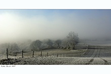 ohne Titel