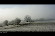 ohne Titel
