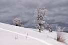 Vogesen im Schnee