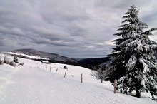 Vogesem im Schnee (2)