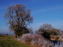 Winter an der Lahn