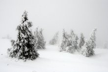 Winter auf dem Brocken