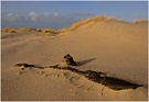 ~ Strand ~