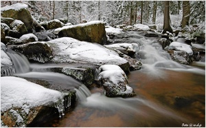 " Bode NSG Harz "