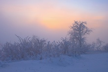 Sonnenuntergang im Nebel