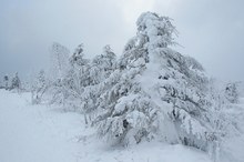 Auf der Suche nach dem Winter