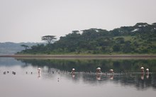 Ndutu See