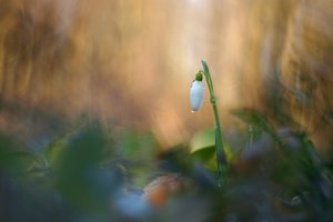 nach dem Regen