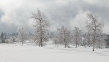 Winterliche Landschaft