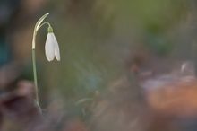 Der Frühling ist nicht mehr zu übersehen