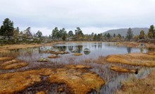 In Norwegen