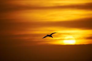 Abendstimmung