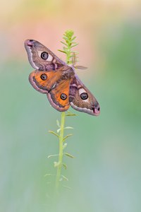 Bald fliegen sie wieder ...