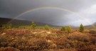 Landschaft mit Regenbogen