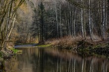 Am Wasserlauf