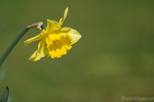 Ostern ist zwar vorbei