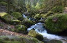 Schwarzwälder Wasserfall