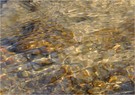 Gold aus dem Bachlauf