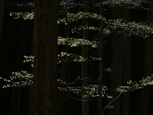 Nicht so wie es scheint