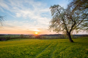 Frühling im Allgäu