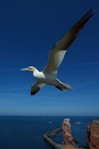 Weitwinkel vor Helgoland